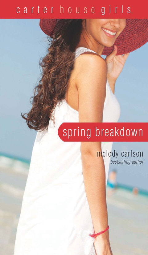 Cover image for book Spring Breakdown