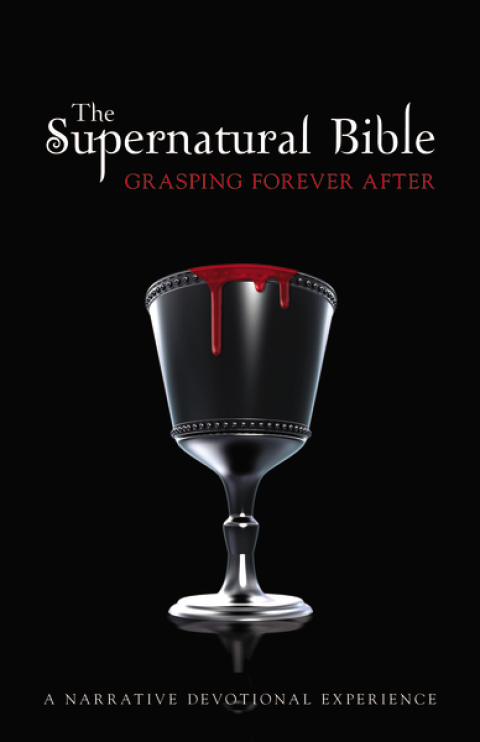 Cover image for book NIV, Supernatural Bible, eBook
