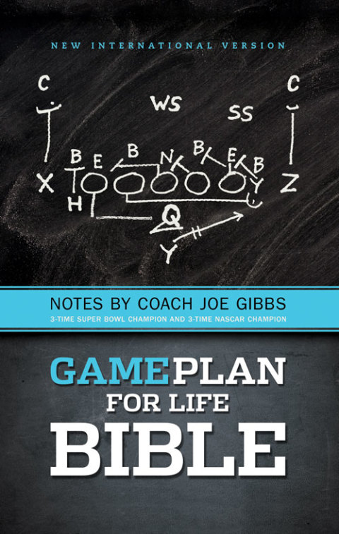 Cover image for book NIV, Game Plan for Life Bible