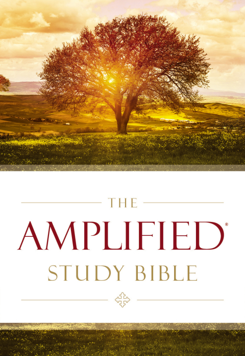 Cover image for book The Amplified Study Bible