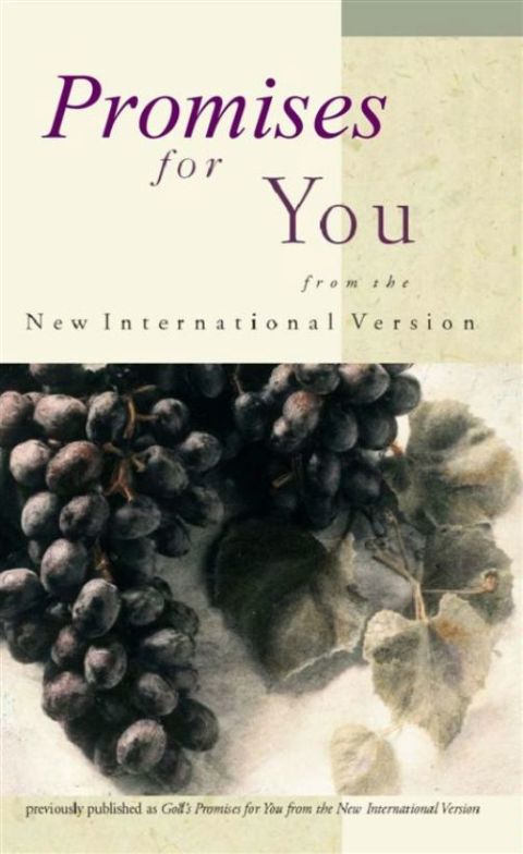 Cover image for book NIV, Promises for You