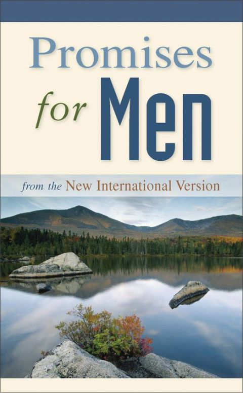 Cover image for book NIV, Promises for Men