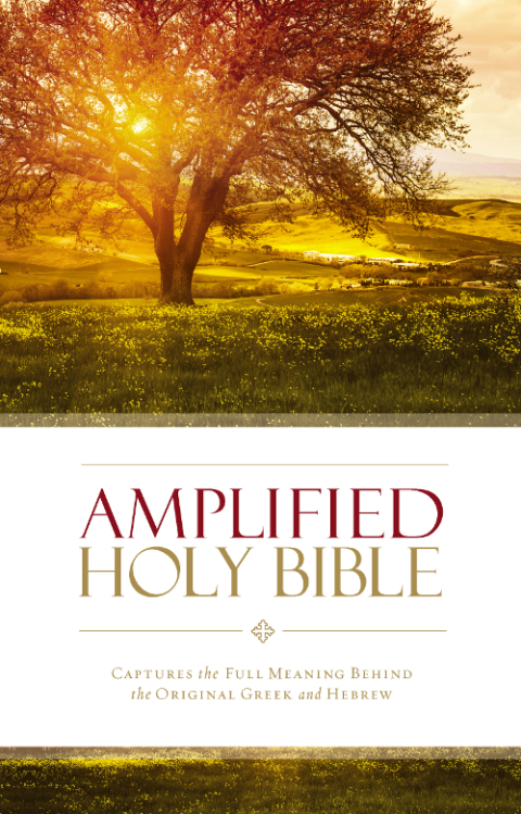 Cover image for book Amplified Holy Bible (2015 Text)