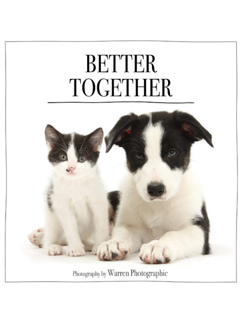 Cover image for book Better Together