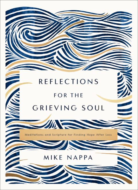 Cover image for book Reflections for the Grieving Soul