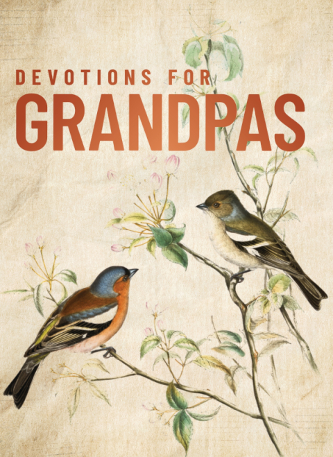Cover image for book Devotions for Grandpas