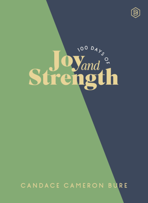 Cover image for book 100 Days of Joy and Strength