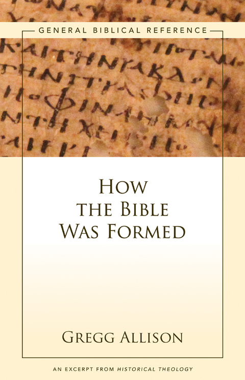 Cover image for book How the Bible Was Formed