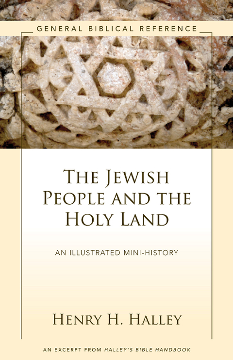 Cover image for book The Jewish People and the Holy Land