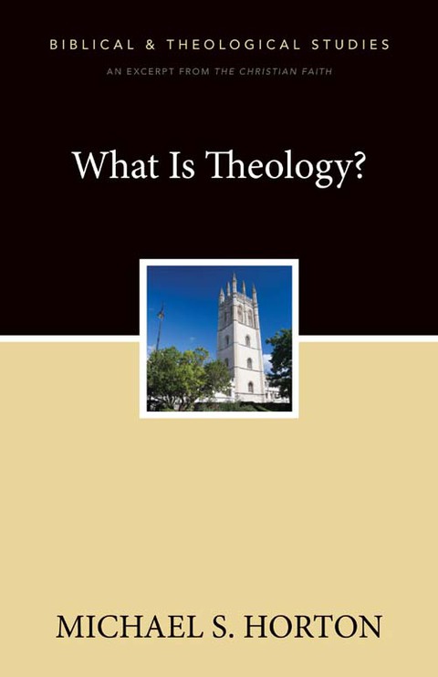 Cover image for book What Is Theology?