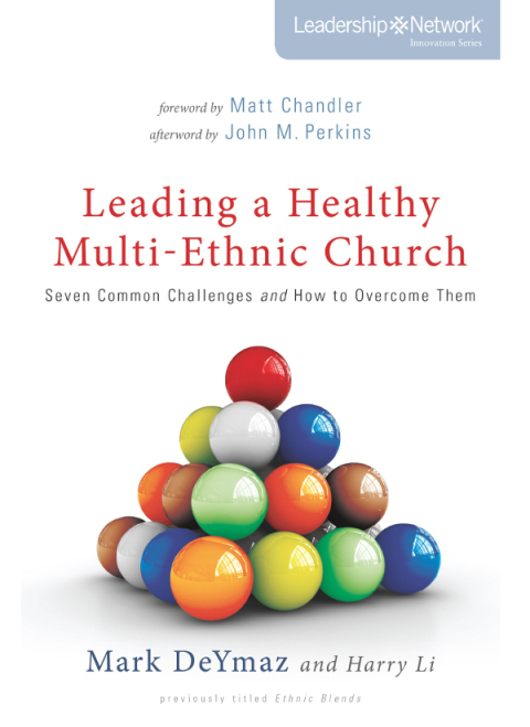 Cover image for book Leading a Healthy Multi-Ethnic Church