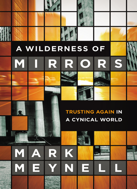 Cover image for book A Wilderness of Mirrors