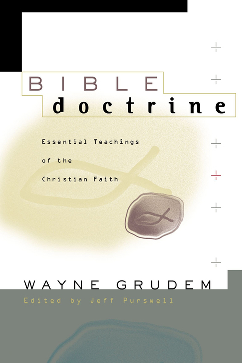 Cover image for book Bible Doctrine