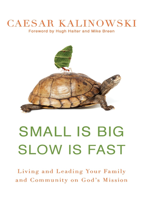 Cover image for book Small Is Big, Slow Is Fast