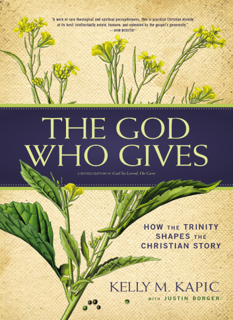 Cover image for book The God Who Gives
