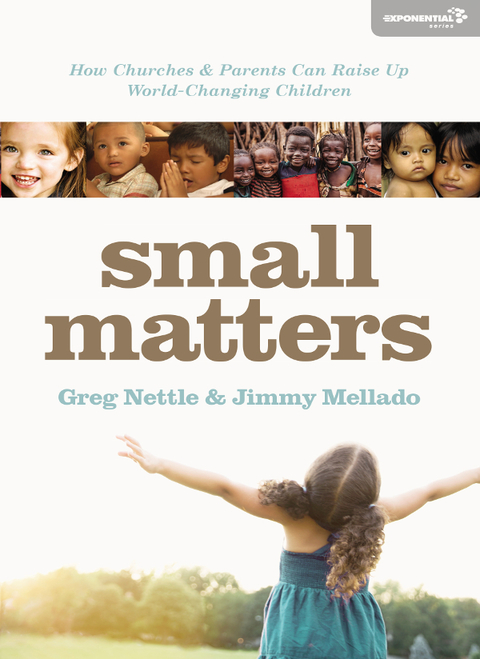 Cover image for book Small Matters