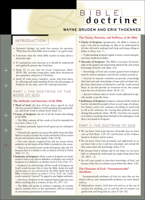Cover image for book Bible Doctrine Laminated Sheet