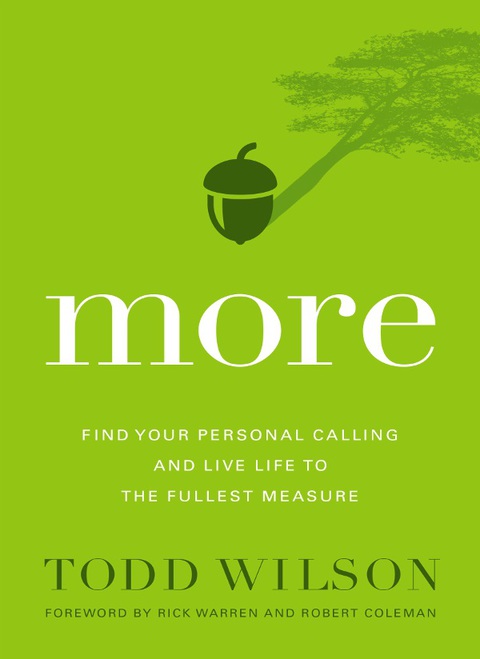 Cover image for book More