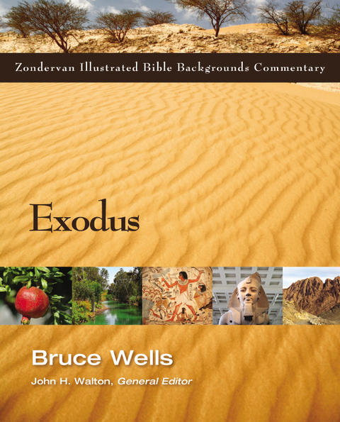 Cover image for book Exodus