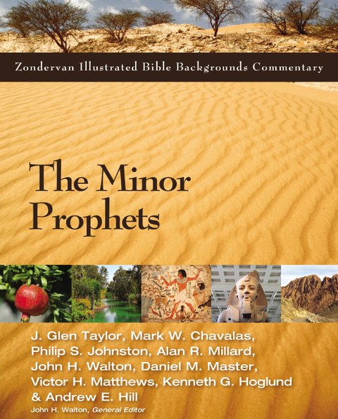 Cover image for book The Minor Prophets