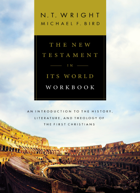 Cover image for book The New Testament in Its World Workbook