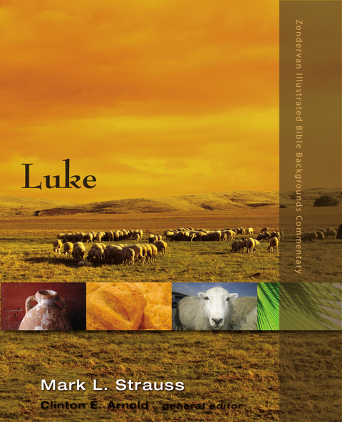 Cover image for book Luke