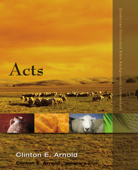 Cover image for book Acts