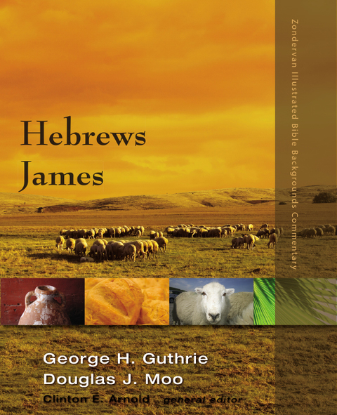 Cover image for book Hebrews, James