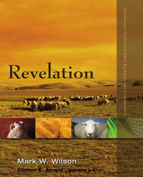 Cover image for book Revelation