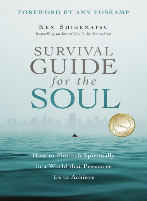 Cover image for book Survival Guide for the Soul