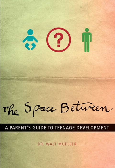 Cover image for book The Space Between