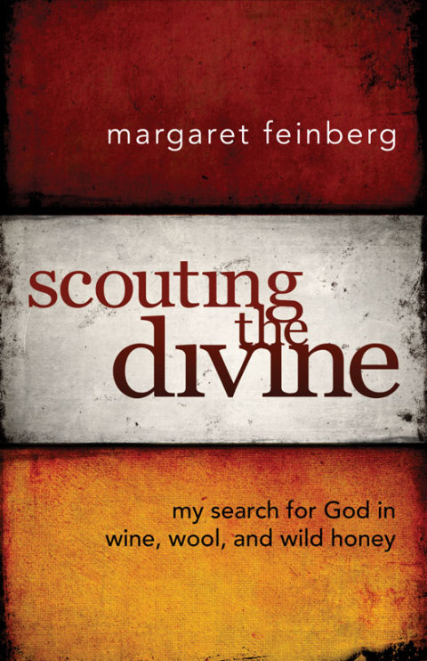 Cover image for book Scouting the Divine