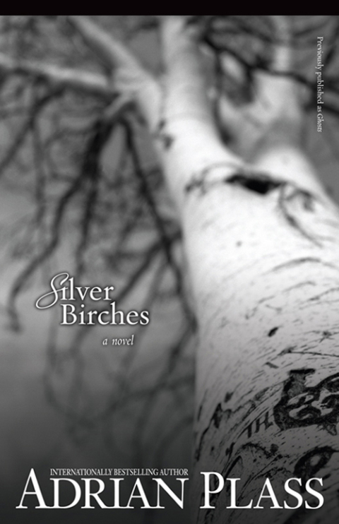 Cover image for book Silver Birches