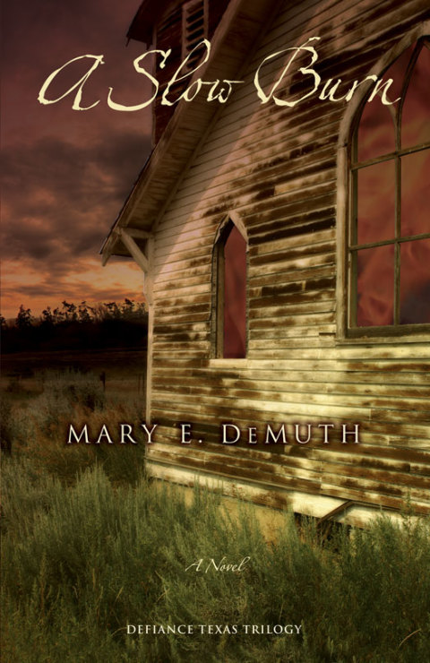 Cover image for book A Slow Burn