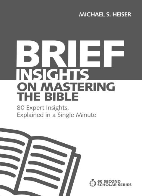 Cover image for book Brief Insights on Mastering the Bible