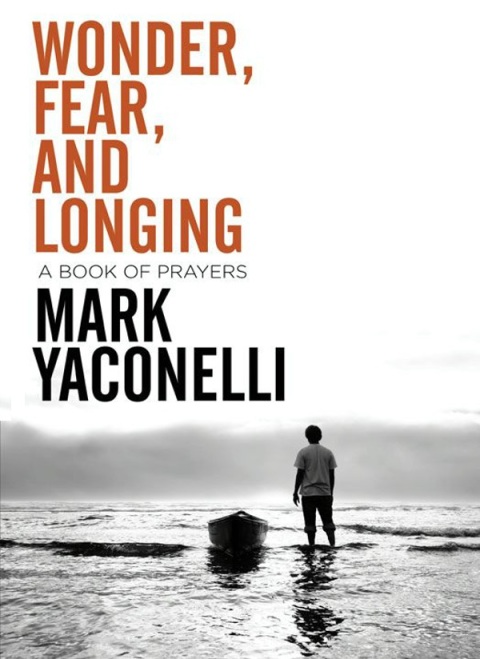 Cover image for book Wonder, Fear, and Longing, eBook