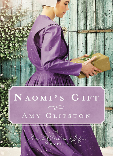 Cover image for book Naomi's Gift