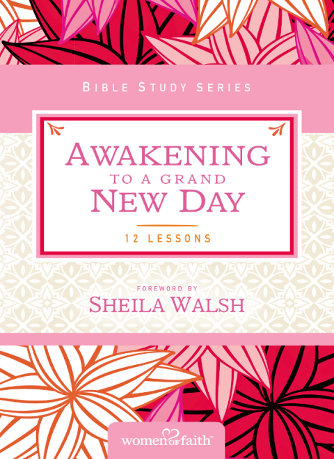 Cover image for book Awakening to a Grand New Day