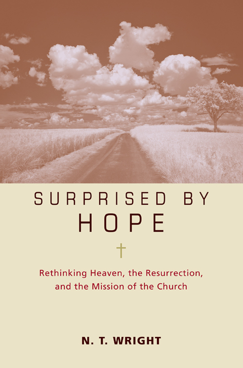 Cover image for book Surprised by Hope Bible Study Participant's Guide
