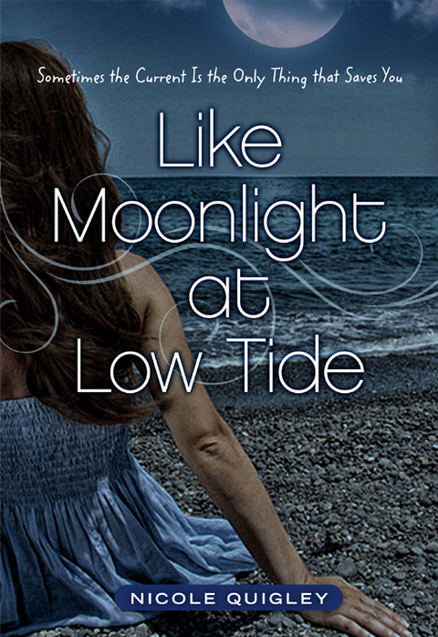 Cover image for book Like Moonlight at Low Tide