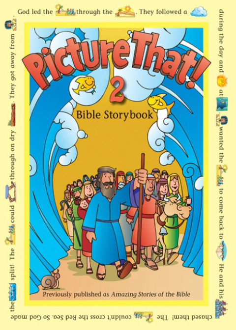 Cover image for book Picture That! 2