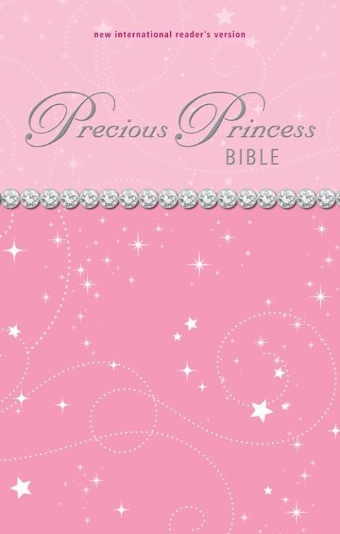 Cover image for book NIrV, Precious Princess Bible