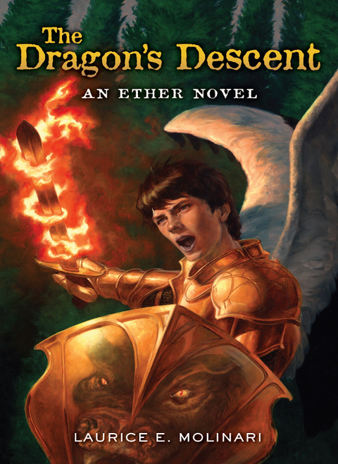 Cover image for book The Dragon's Descent