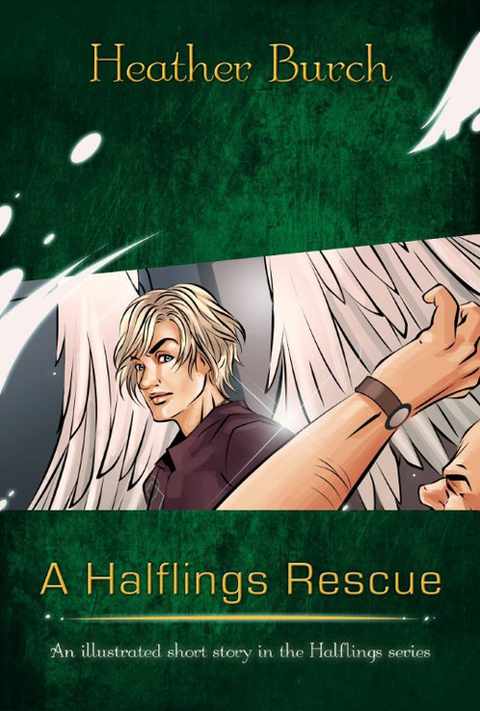 Cover image for book A Halflings Rescue