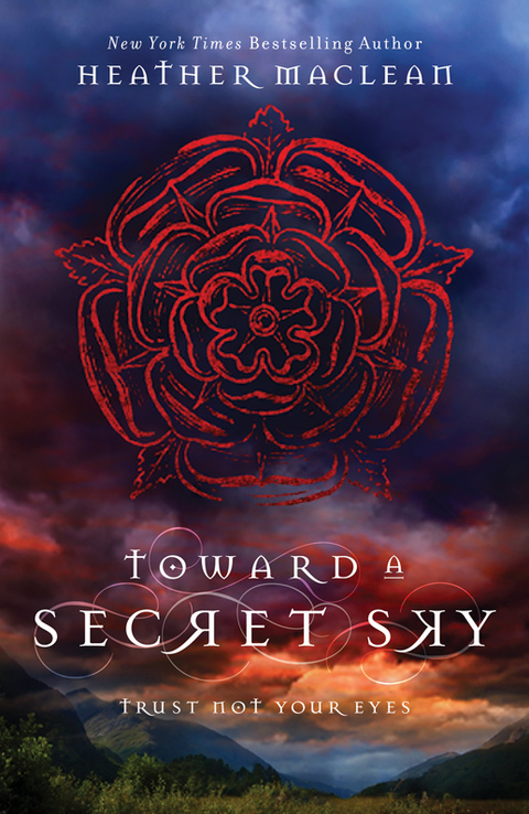 Cover image for book Toward a Secret Sky
