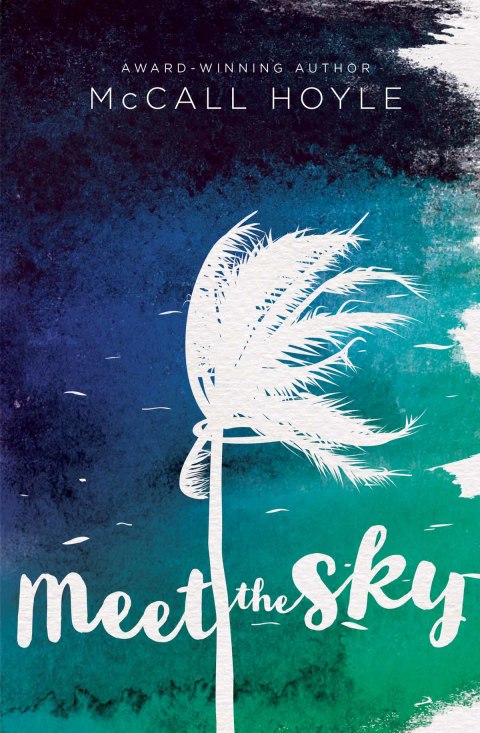 Cover image for book Meet the Sky
