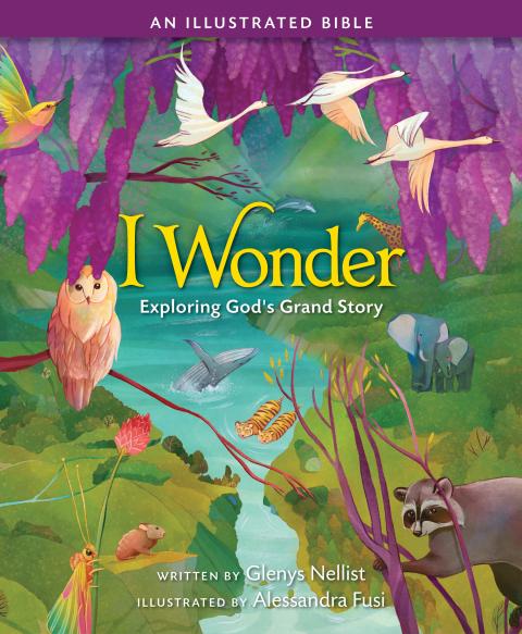 Cover image for book I Wonder: Exploring God's Grand Story