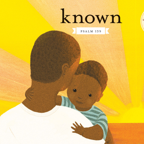 Cover image for book Known
