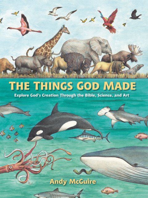 Cover image for book The Things God Made