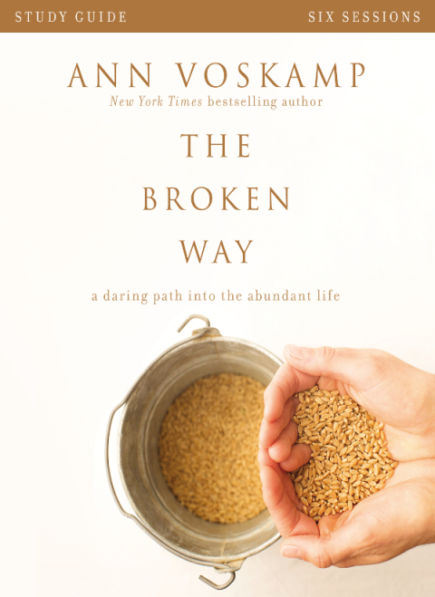 Cover image for book The Broken Way Bible Study Guide